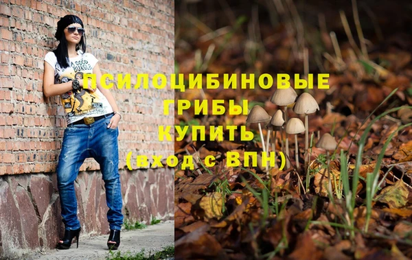 стафф Магадан